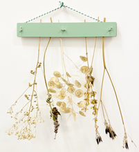 Load image into Gallery viewer, Flower Drying Kit - Pink or Green Wash