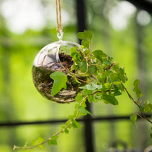 Load image into Gallery viewer, Colourful Glass Hanging Globes