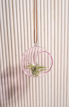 Load image into Gallery viewer, Colourful Glass Hanging Globes