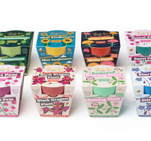 Load image into Gallery viewer, Children's Growing Kits