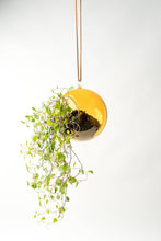 Load image into Gallery viewer, Colourful Glass Hanging Globes
