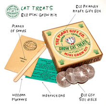 Load image into Gallery viewer, Eco Mini Grow Kit - Cat Nip / Nepeta cataria