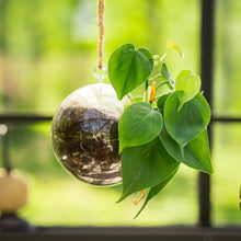 Load image into Gallery viewer, Colourful Glass Hanging Globes