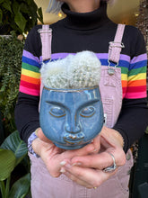 Load image into Gallery viewer, Espostoa melanostele / Peruvian Old Lady Cactus
