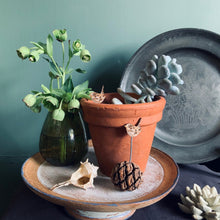 Load image into Gallery viewer, Plant Pot Companions