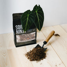 Load image into Gallery viewer, Soil Ninja Premium Alocasia Blend 2.5L