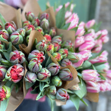 Load image into Gallery viewer, Speciality Fringed Tulips