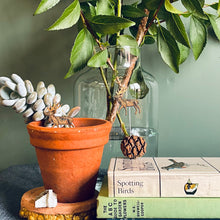Load image into Gallery viewer, Plant Pot Companions