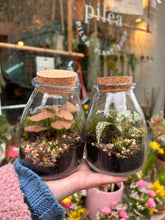 Load image into Gallery viewer, Spherical Sealed Terrarium - *Local Delivery or Local Pick Up Only*