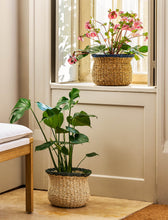 Load image into Gallery viewer, Fluted Seagrass Baskets