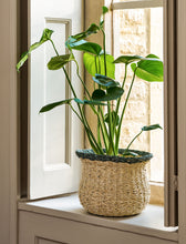Load image into Gallery viewer, Fluted Seagrass Baskets