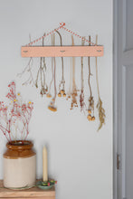 Load image into Gallery viewer, Flower Drying Kit - Pink or Green Wash
