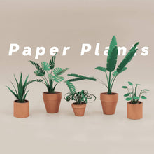 Load image into Gallery viewer, Paper Plants Origami Kit