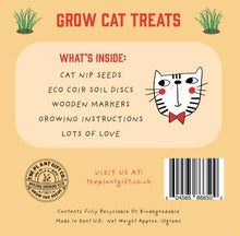 Load image into Gallery viewer, Eco Mini Grow Kit - Cat Nip / Nepeta cataria