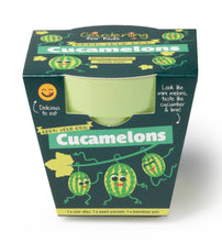 Load image into Gallery viewer, Children's Growing Kits