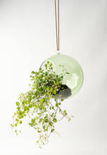 Load image into Gallery viewer, Colourful Glass Hanging Globes