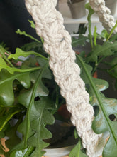 Load image into Gallery viewer, XL Handmade Macrame Plant Hanger