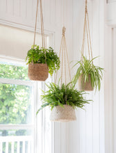 Load image into Gallery viewer, Hanging Plant Pot In Seagrass