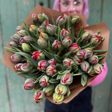 Load image into Gallery viewer, Speciality Red Princess Double Tulips
