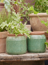 Load image into Gallery viewer, Light Green Glazed Plant Pot - *Local Delivery or Local Pick Up Only*
