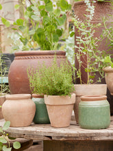 Load image into Gallery viewer, Light Green Glazed Plant Pot - *Local Delivery or Local Pick Up Only*
