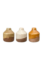 Load image into Gallery viewer, Glazed Vase Pots
