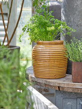 Load image into Gallery viewer, Matt Honey Plant Pot - *Local Delivery or Local Pick Up Only*
