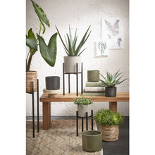 Load image into Gallery viewer, Black Straight Metal Plant Stand
