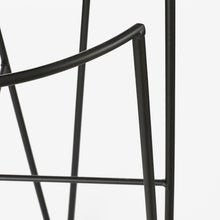 Load image into Gallery viewer, Black Pointed Metal Plant Stand

