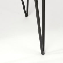 Load image into Gallery viewer, Black Pointed Metal Plant Stand
