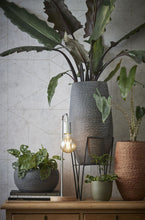 Load image into Gallery viewer, Black Pointed Metal Plant Stand
