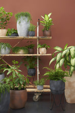 Load image into Gallery viewer, Black Curved Metal Plant Stands - *Local Delivery or Local Pick Up Only*
