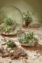 Load image into Gallery viewer, Recycled Glass Ball Terrarium - *Local Delivery or Local Pick Up Only*
