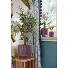 Load image into Gallery viewer, Purple Glazed Plant Pots - *Local Delivery or Local Pick Up Only*
