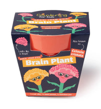 Load image into Gallery viewer, Children's Growing Kits
