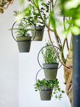 Load image into Gallery viewer, Metal Hanging Plant Hoop
