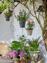 Load image into Gallery viewer, Metal Hanging Plant Hoop
