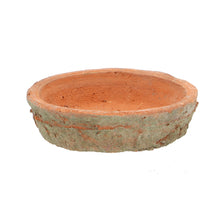 Load image into Gallery viewer, Aged Terracotta Plant Pots With Saucers - *Local Delivery or Local Pick Up Only*
