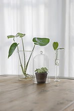 Load image into Gallery viewer, Glass Dome With Saucer - *Local Delivery or Local Pick Up Only*
