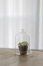 Load image into Gallery viewer, Glass Dome With Saucer - *Local Delivery or Local Pick Up Only*
