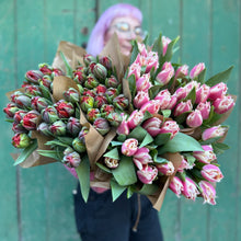 Load image into Gallery viewer, Speciality Fringed Tulips
