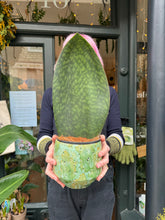 Load image into Gallery viewer, Sansevieria masoniana Victoria / Whale Fin
