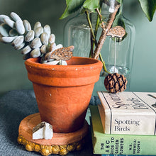 Load image into Gallery viewer, Plant Pot Companions
