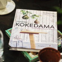 Load image into Gallery viewer, Make Your Own Kokedama Moss Ball Workshop
