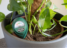 Load image into Gallery viewer, Plant Moisture Meter
