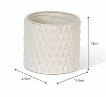 Load image into Gallery viewer, White Bobble Plant Pots - *Local Delivery or Local Pick Up Only*
