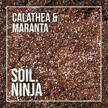 Load image into Gallery viewer, Soil Ninja Premium Calathea &amp; Maranta Blend 2.5L
