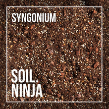 Load image into Gallery viewer, Soil Ninja Premium Syngonium Blend 2.5L
