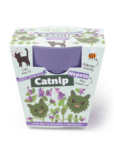 Load image into Gallery viewer, Children's Growing Kits
