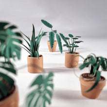 Load image into Gallery viewer, Paper Plants Origami Kit
